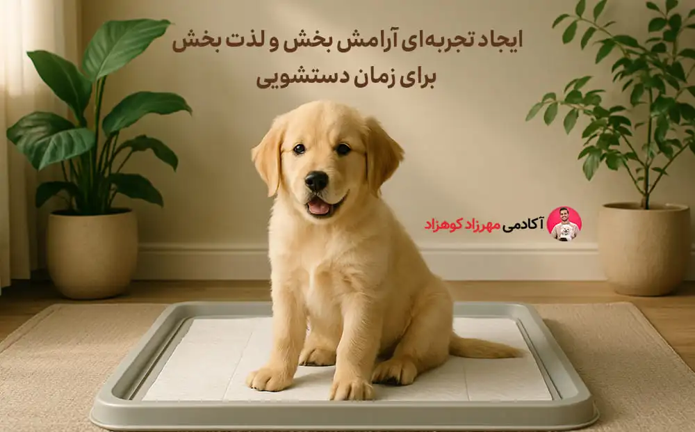 ایجاد تجربه‌ای آرامش‌بخش و لذت‌ بخش برای زمان دستشویی
