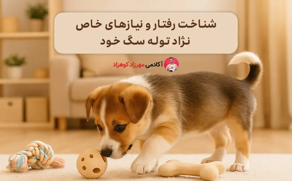 شناخت رفتار و نیازهای خاص نژاد توله‌ سگ خود در آموزش دستشویی