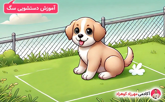 انتخاب یک محل مشخص برای دستشویی سگ