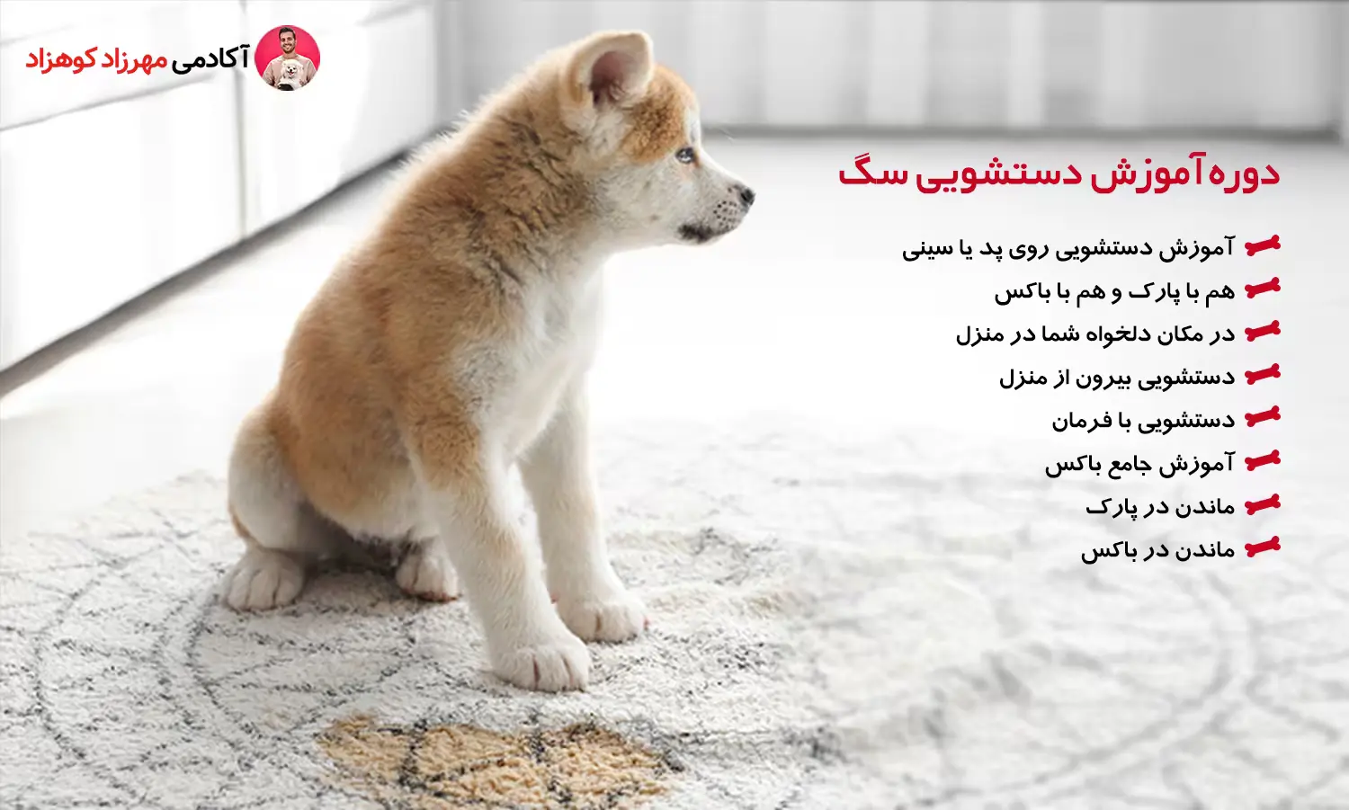 دوره آموزش دستشویی سگ