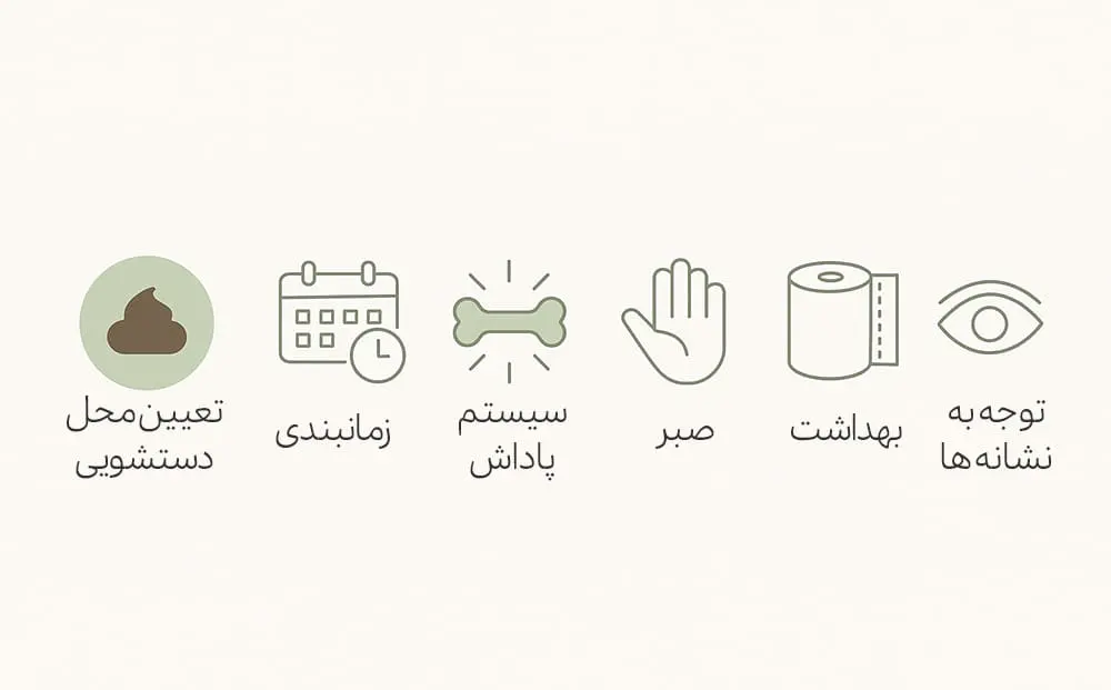 برنامه منظم برای آموزش دستشویی سگ​